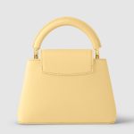 Capucines Mini handbag1