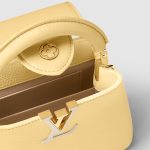 Capucines Mini handbag1