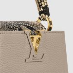 LV bag Lbrown1