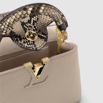 LV bag Lbrown1