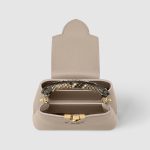 LV bag Lbrown1