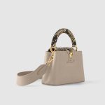 LV bag Lbrown1