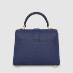 LV bagblue1