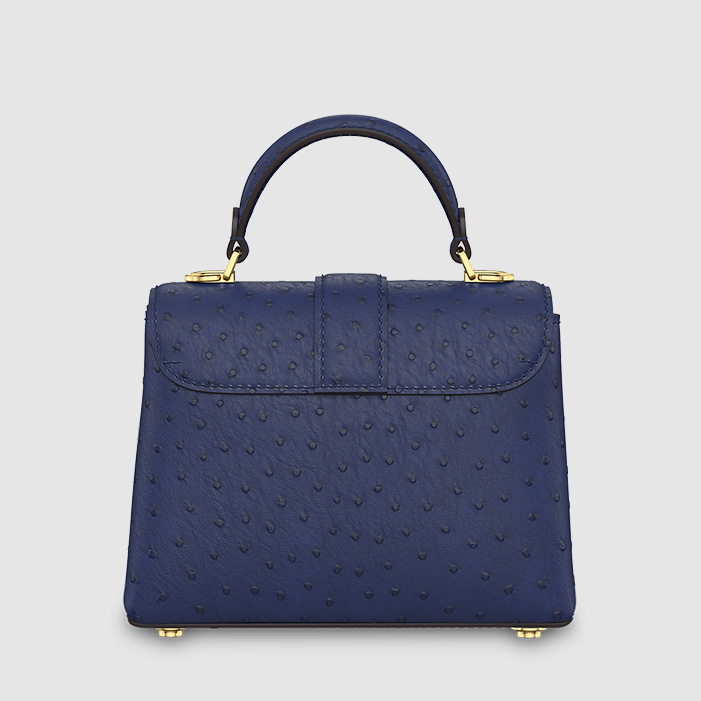 LV bagblue4