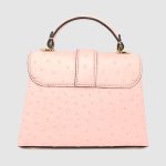 LV pinkbag1